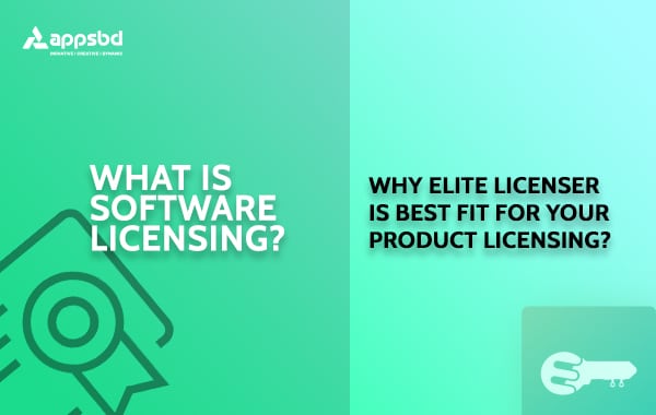 what is software license