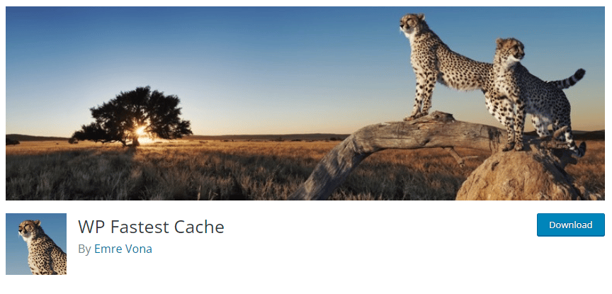 5 Best WordPress Caching Plugins to Speed Up Your WordPress Sites - wp fastes cache